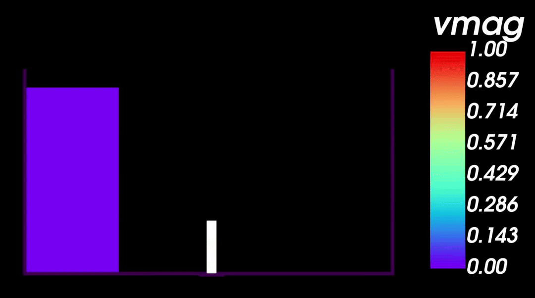 FSI elastic dam-break gif